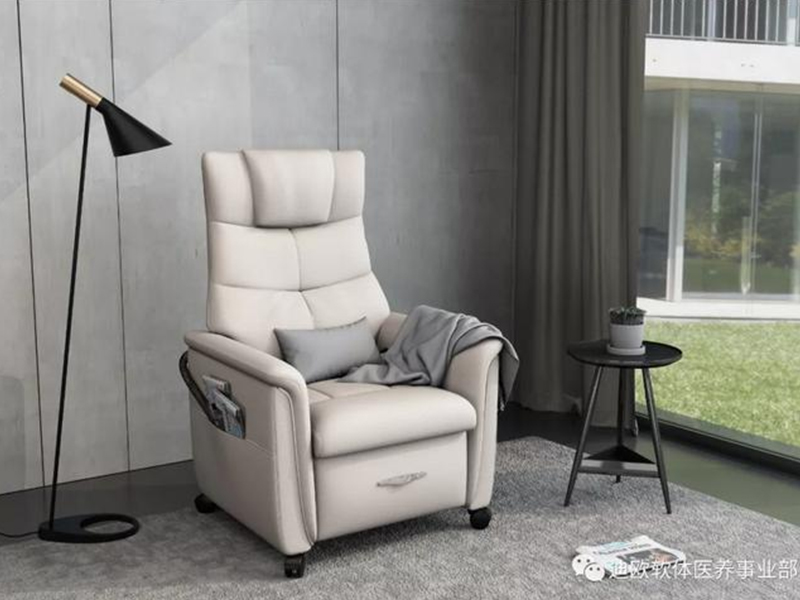 DL807养老院休闲椅子 DL807养老院休闲椅子