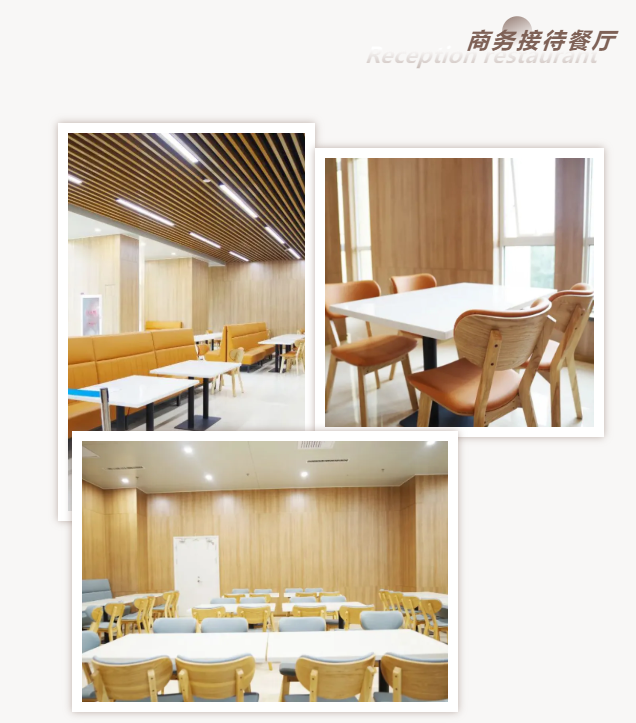 商务接待餐厅家具 商务接待餐厅家具