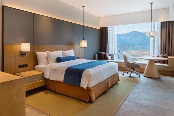 酒店套房-21 酒店套房-21